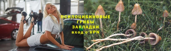 соль ск Арсеньев