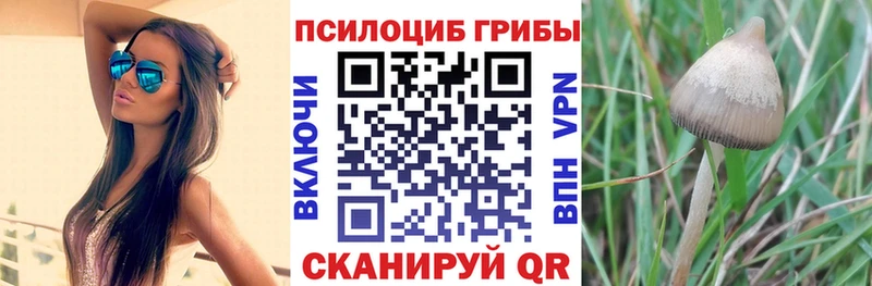 дарк нет состав  Лобня  Псилоцибиновые грибы ЛСД 